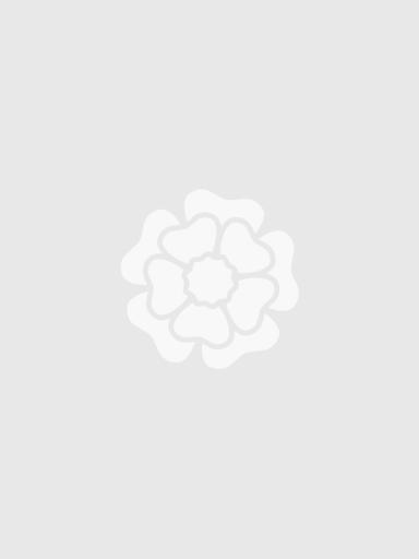 Підкатегорія Хризантеми