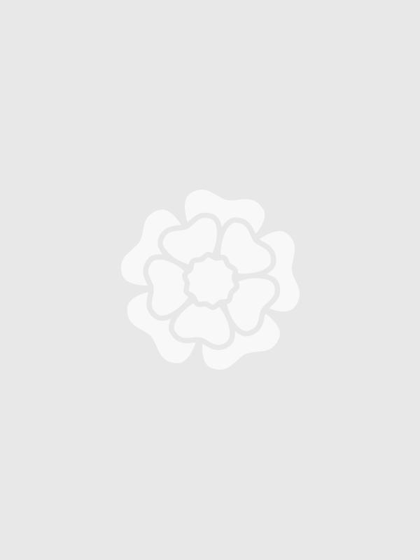 Зображення відсутнє